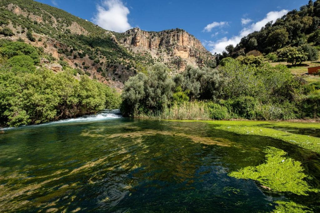 La paleta de la naturaleza: Excursión de un día a los Tres Valles