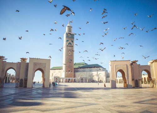 Casablanca Guided City Exploration from Marrakech