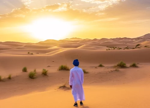 Sahara Odyssey