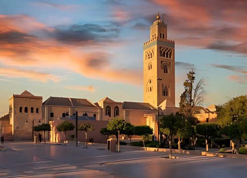 Marrakech Activities: Where Every Moment Becomes a Memory