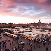 Marrakech activities