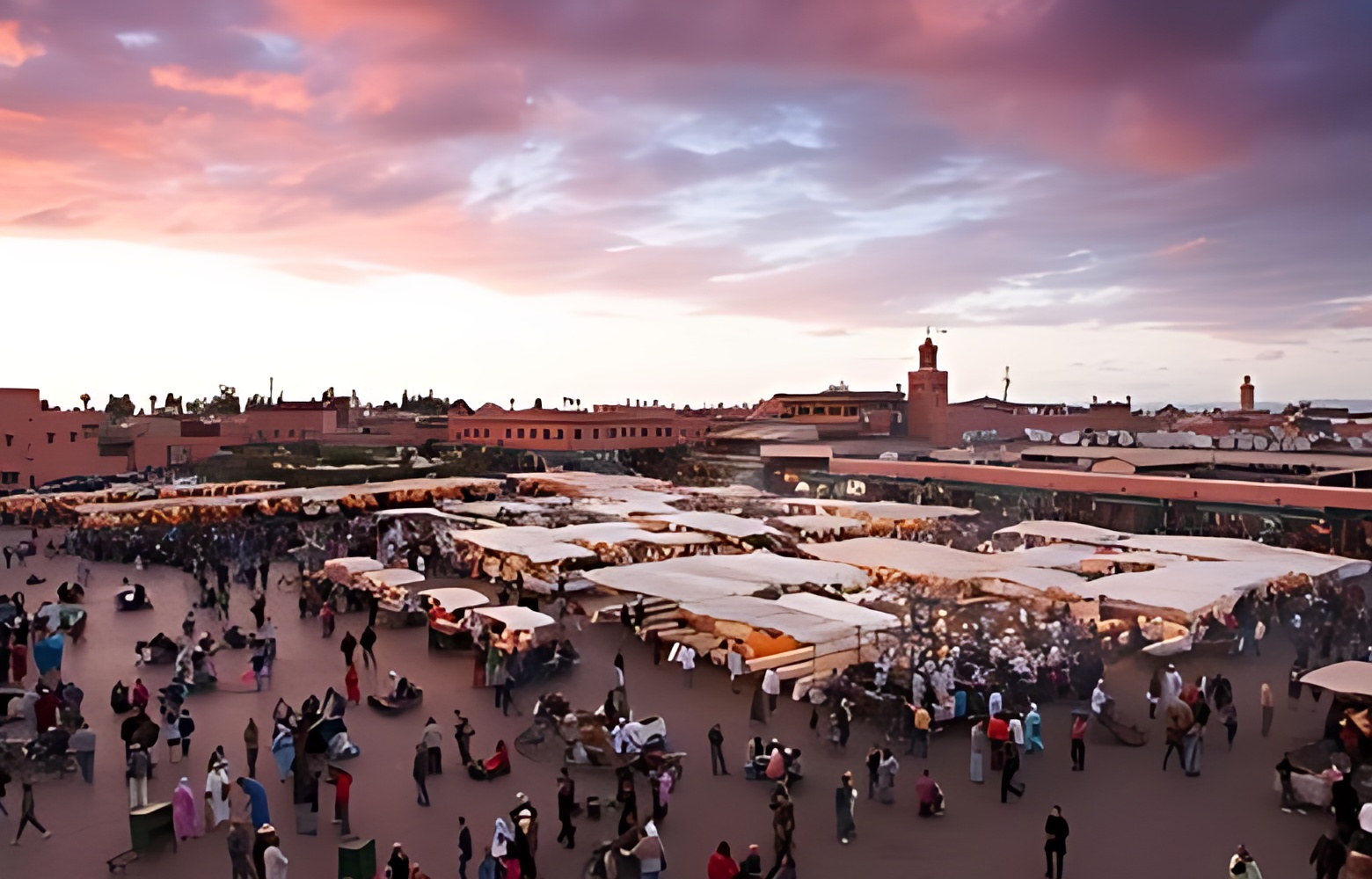 Marrakech activities