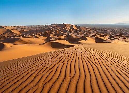 Into the Sahara: A Desert Tour with Morocco Trail Finders
