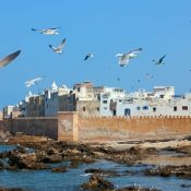 day trips from Marrakech