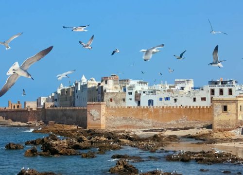 Essaouira: A Coastal Escape on a Day Trip from Marrakech