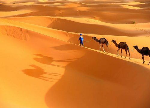 Explorando la magia de Marruecos: Una aventura de 3 días de Marrakech a Merzouga
