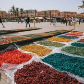 Marrakech Family Day Trips