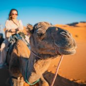 Morocco's Diverse Landscapes