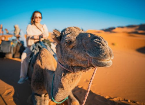 Exploring Morocco’s Diverse Landscapes: From Mountains to Coastlines