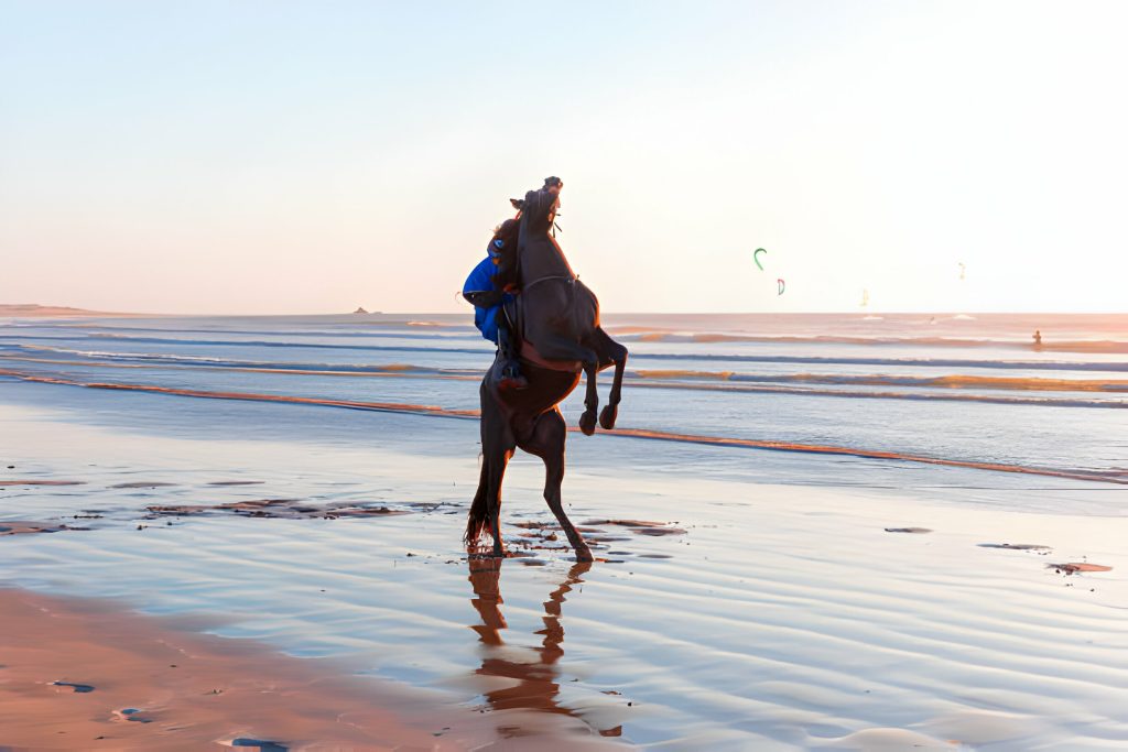 Horseback riding tours in Morocco: exploring scenic routes and rural landscapes