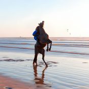 Horseback Riding Tours Morocco