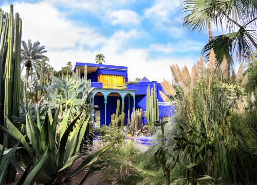 Moroccan Gardens and Botanical Wonders: Oasis of Beauty in Every City