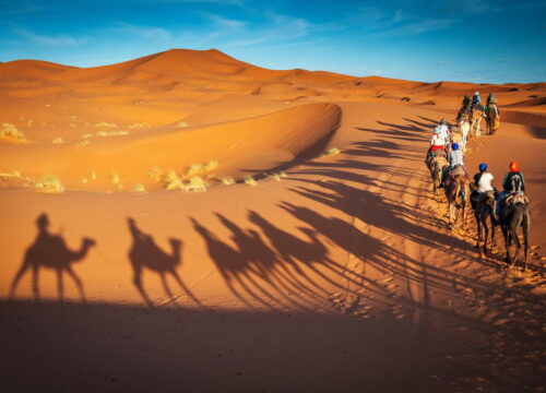 Dunes of dreams: Exploring the mystical Erg Chegaga by camelback
